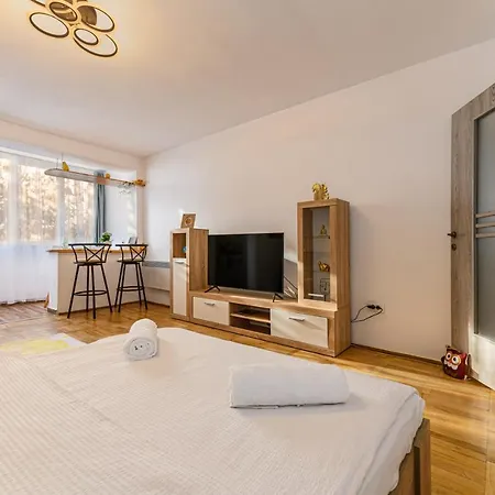 Apartment Jad - Family - & Brasov